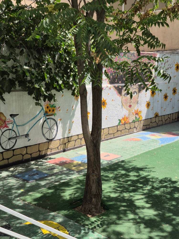 دبستان دخترانه پروین اعتصامی شعبه 2